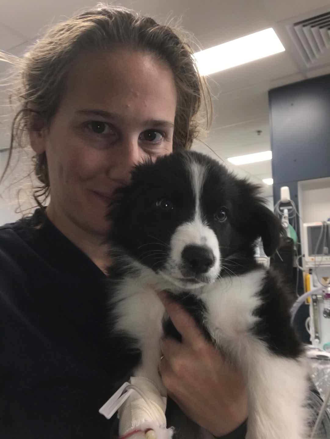 Image of Dr. Ann Herbst with a border collie puppy
