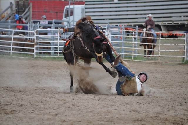 Cowboy falling off a horse. 