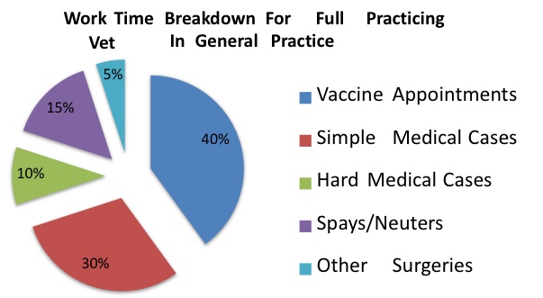 Work-Time Breakdown for Full-Time Vet in General Practice