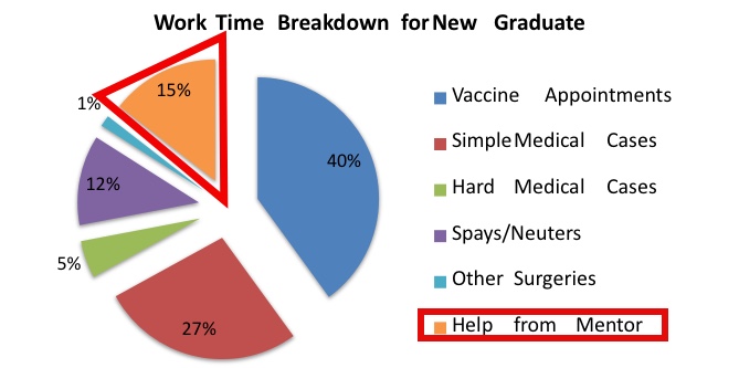Breakdown of average abilities of a new graduate, with 15% / day being mentored.