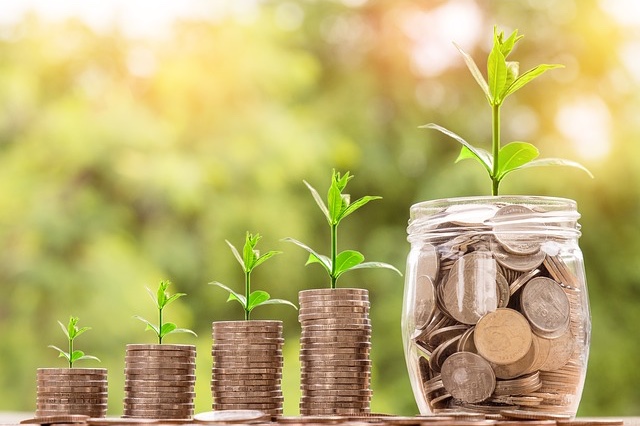 coins with plants growing out of the top