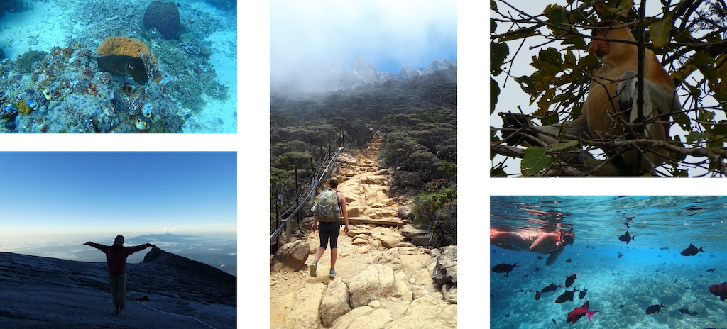 Collage of scuba, snorkelling, and mountain climbing pictures. 