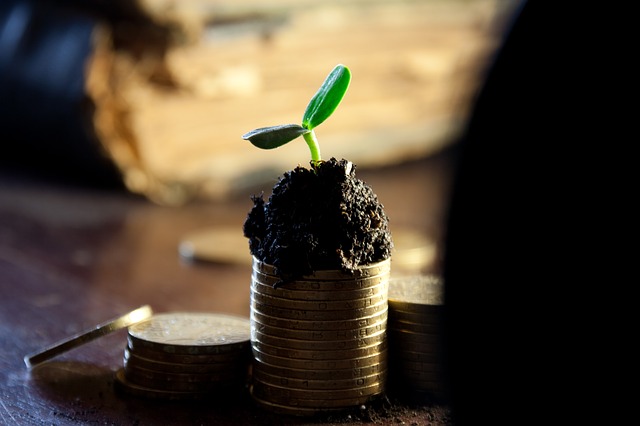 Pile of coins with a plant on top