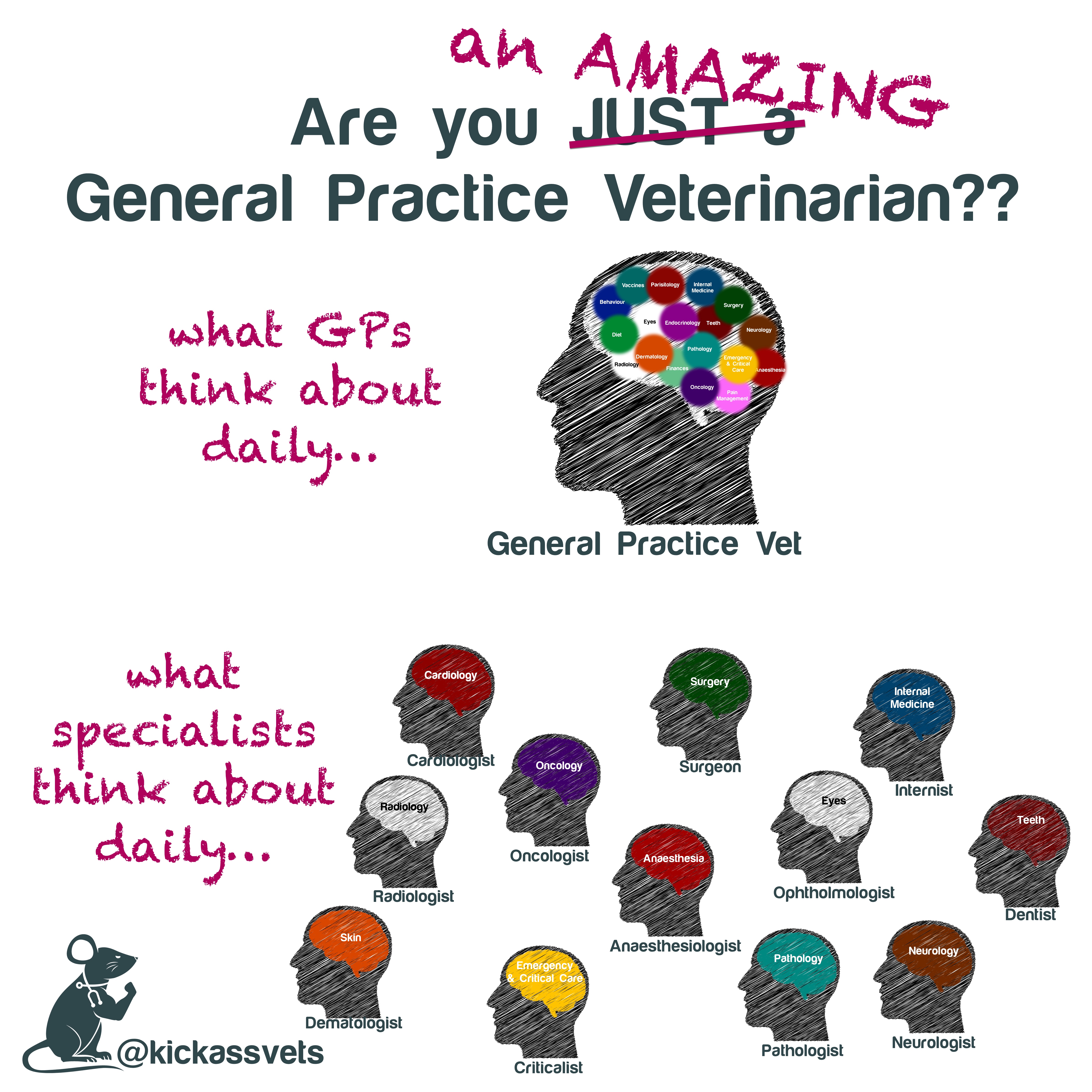 Image showing that GP vets think about all the specialty services all the time, and that being a GP vet is HARD!