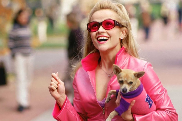 legally blonde cover with bruiser
