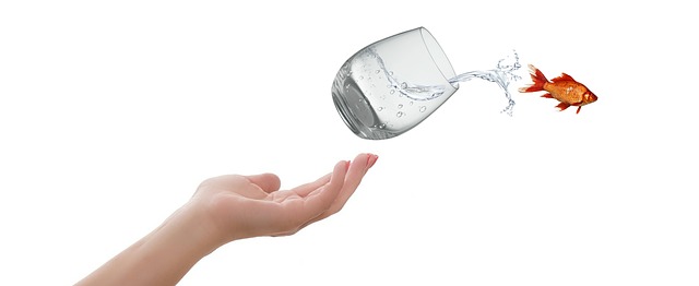 Fish flying out of a glass of water