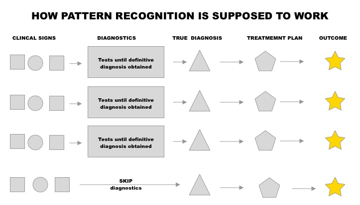 Schematic of how Pattern Recognition is trained accurately. 