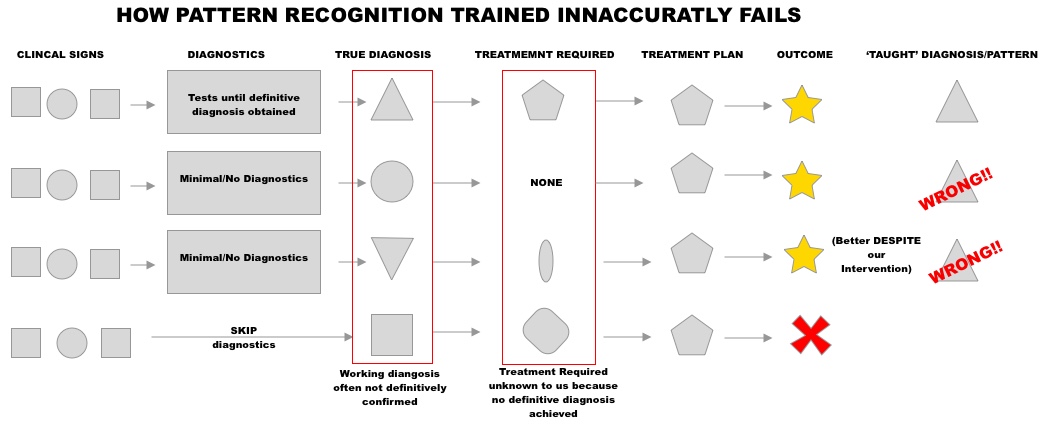 Schematic of how Pattern Recognition is inaccurately trained when diagnostics are not performed. 