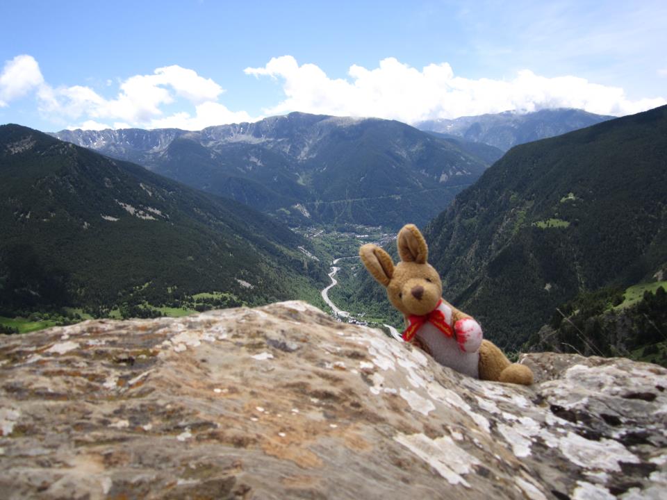 Stuff animal kangaroo (named Bouncer) climbing up a mountain