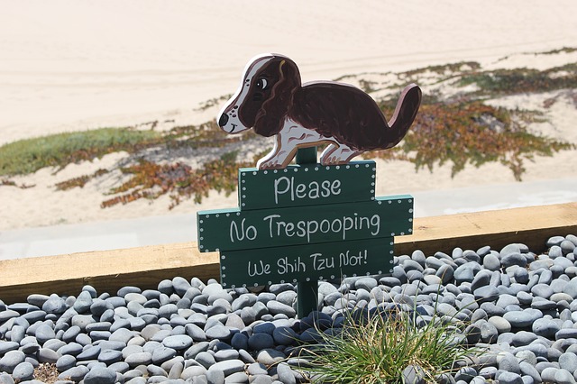 Sign of a dog that says 'Please No Trespooping We Shih Tzu Not!'