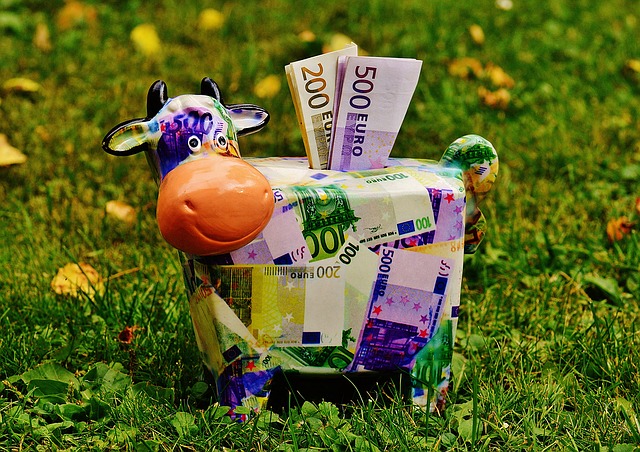 Cow piggy bank in a field.