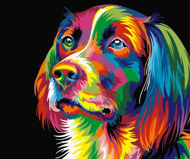 paint by number dog