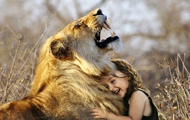 small girl hugging a lion