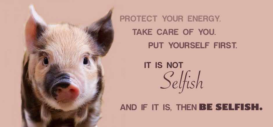 Baby pig with words: Protect your energy. Take care of you. Put yourself first. It is not Selfish, and if it is, then be selfish